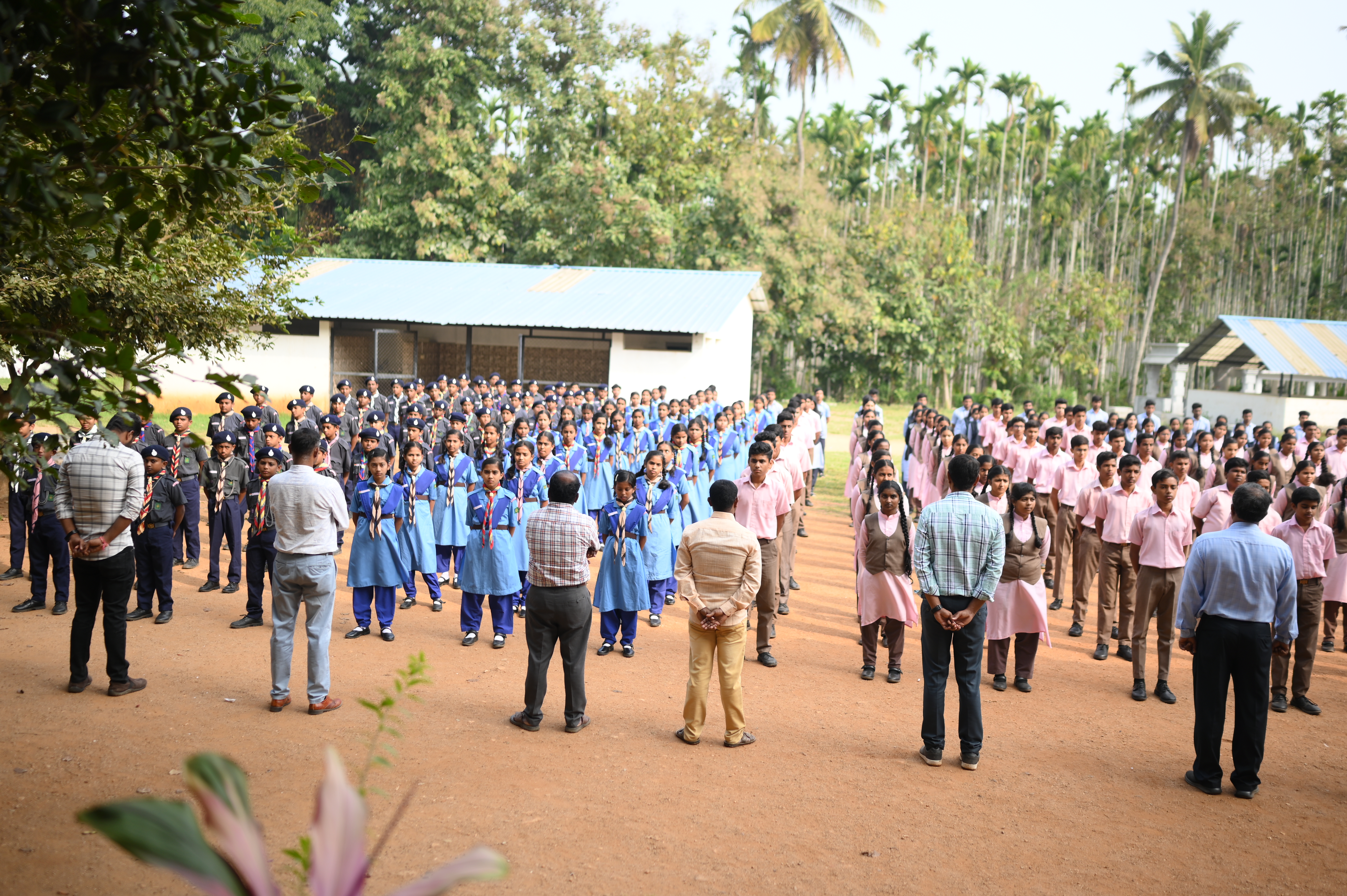 Free Bootstrap Template by ProBootstrap.com