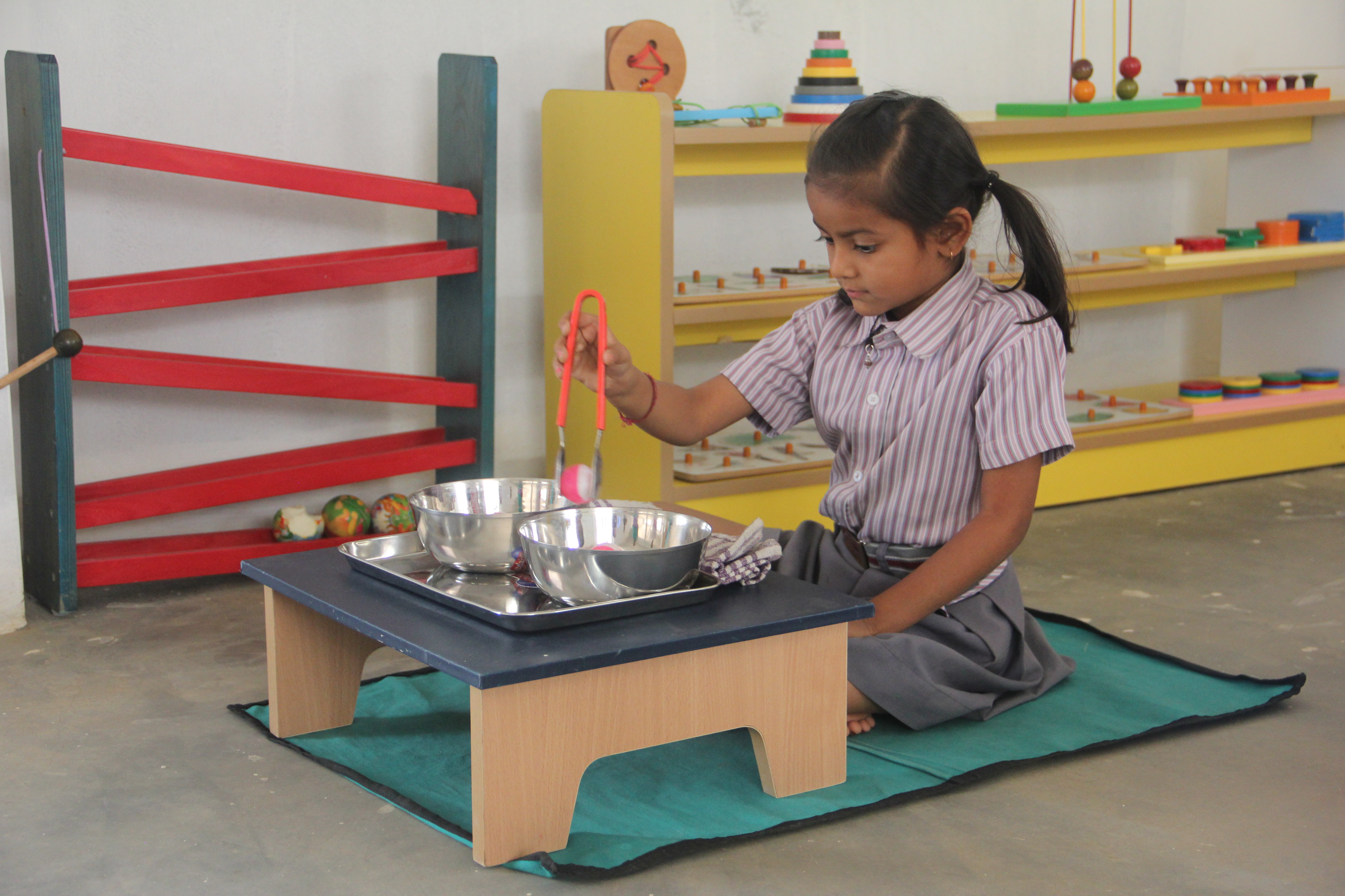 Free Bootstrap Template by ProBootstrap.com